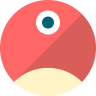 PNETWORK (PNT)